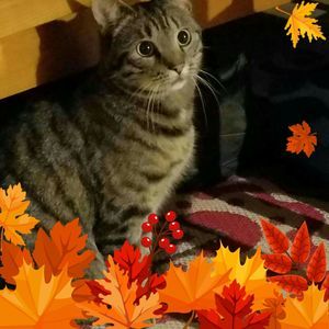 Meet your Posher, Bernice